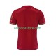 Maglia FC Bayern München 125th Anniversary Red Gara Home Uomo 2024-2025 MC