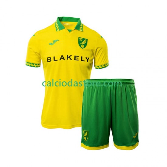 Maglia Norwich City Gara Home Completo Bambino 2-13 Anni 2025-2026 MC Maglia Norwich City Gara Home Completo Bambino 2-13 Anni 2025-2026 MC